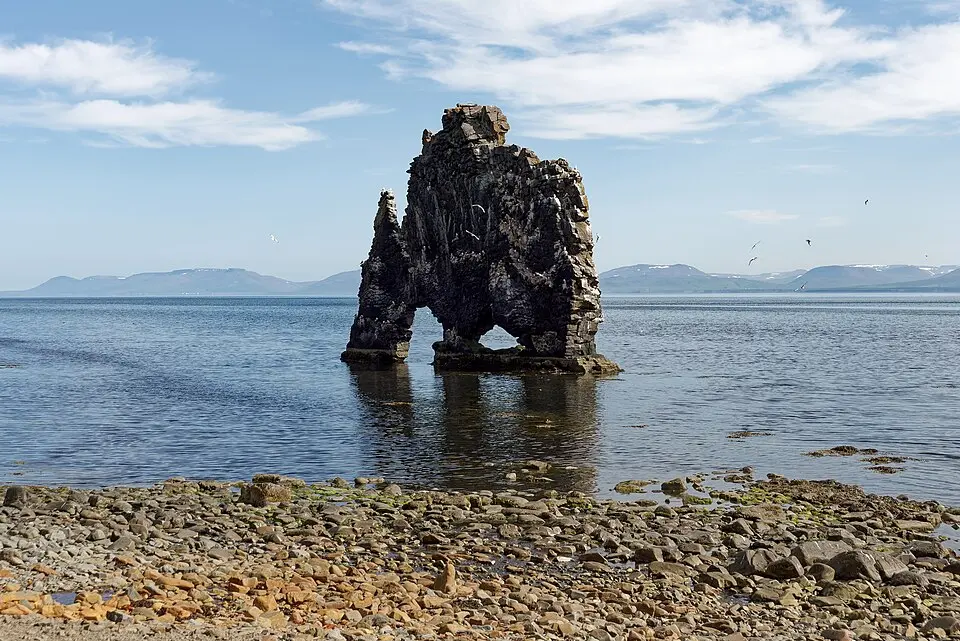 Hvítserkur basalt sea stack standing in shallow water off Iceland